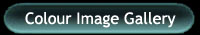 Colour CCD picture gallery
