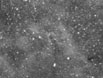 Dark Nebula in Scorpius