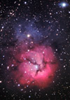 The Trifid nebula in Sagittarius